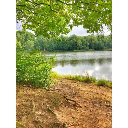 Apartmán Classy In *