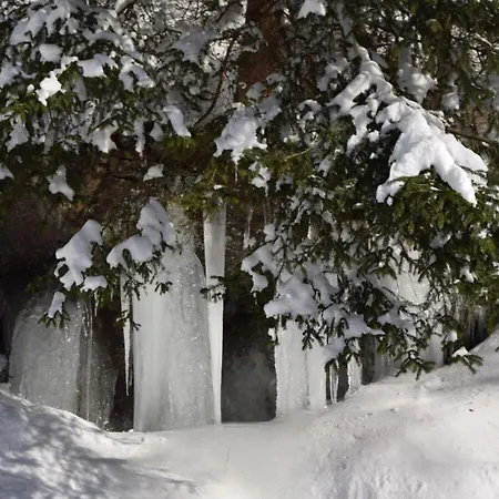 Classy In Apartmán *