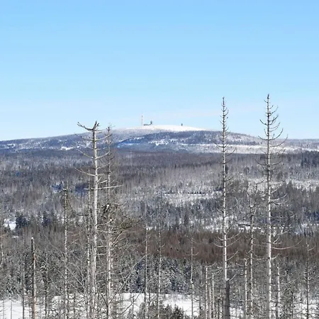 Classy In * Bad Sachsa