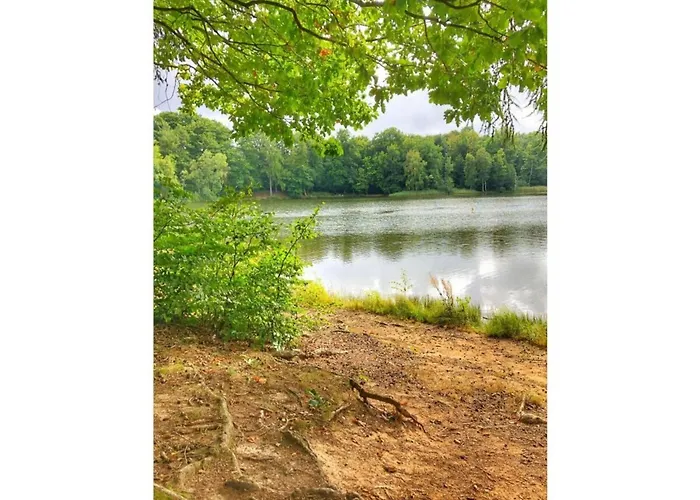 Apartment Classy In *