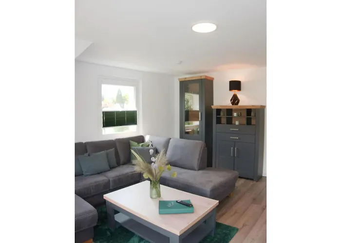 Apartment Classy In *