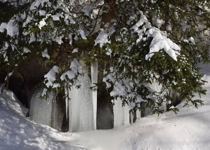 Classy In Apartment *