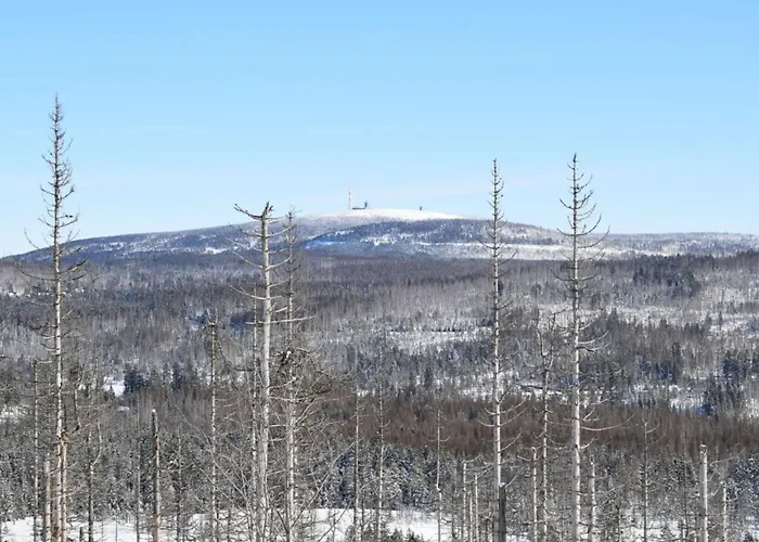 Classy In * Bad Sachsa